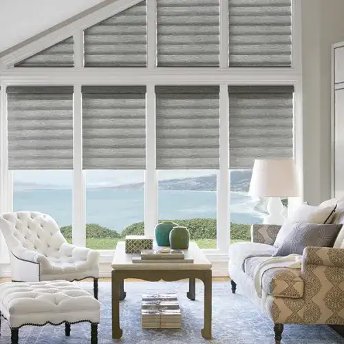 Window Blinds